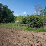 Alla nostra destra invece, nascosti da edera e vegetazione, si celano gli ingressi dell�ipogeo